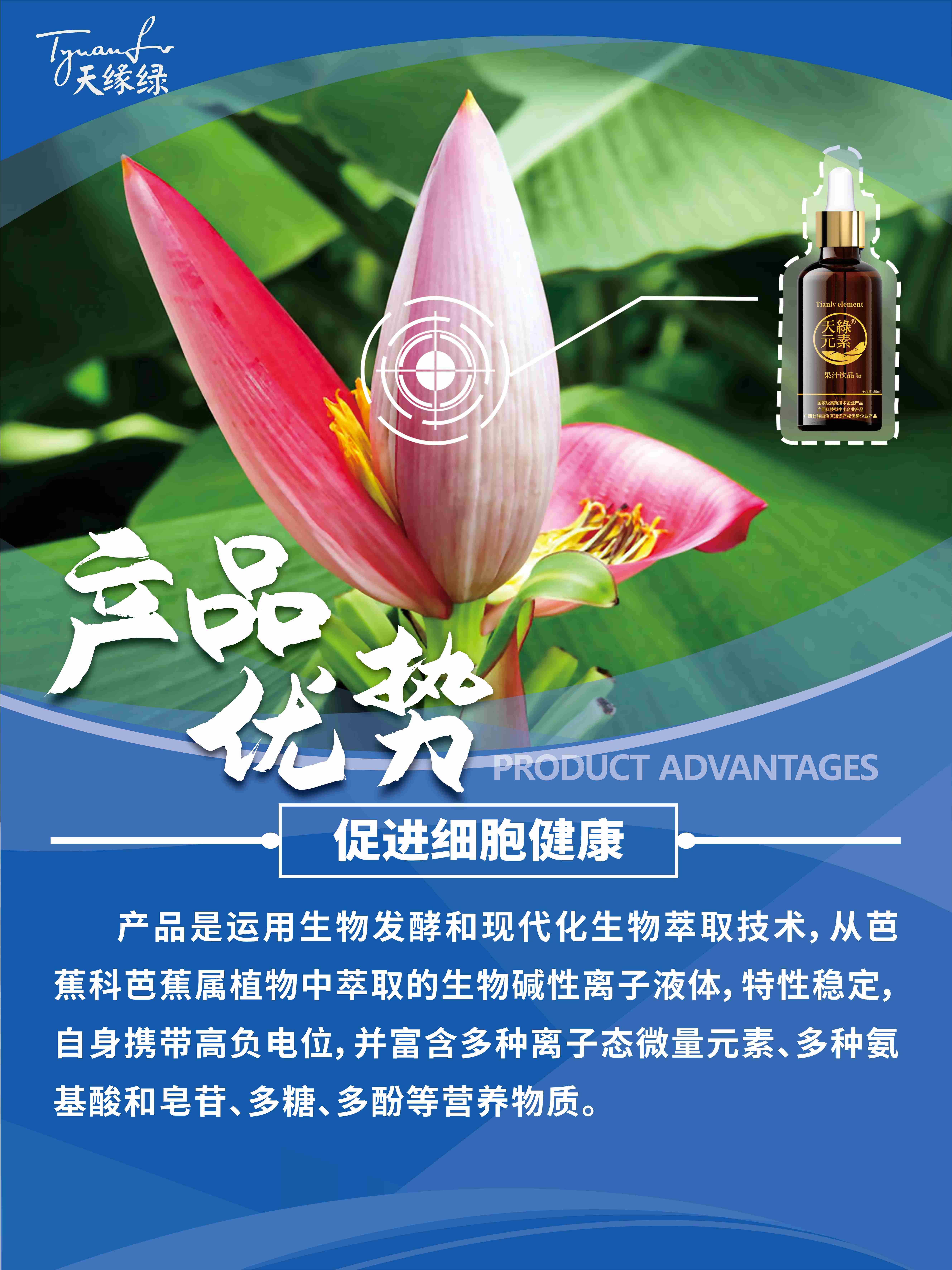 六大优势